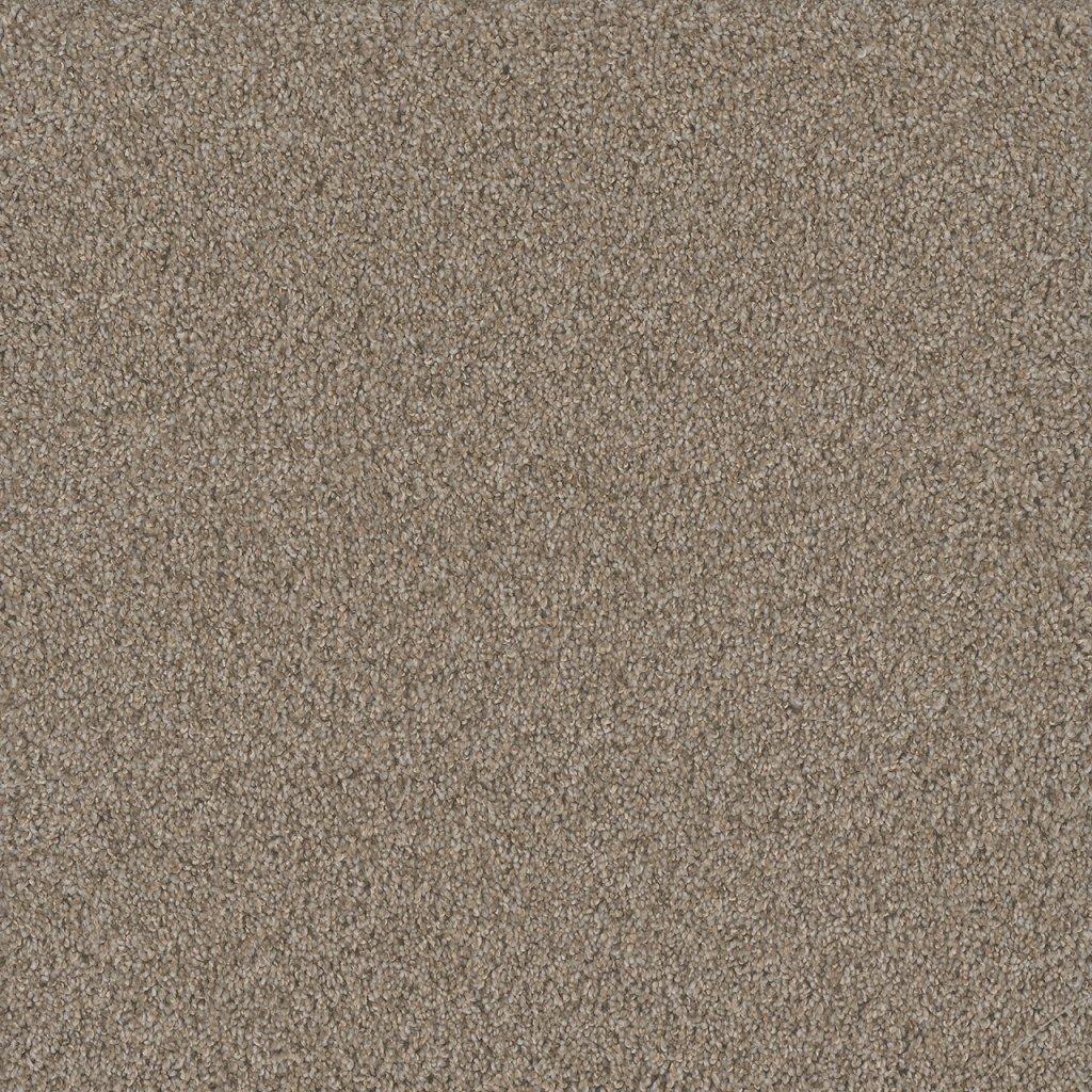 Dreamweaver NO LIMITS II - Ambiance 5185