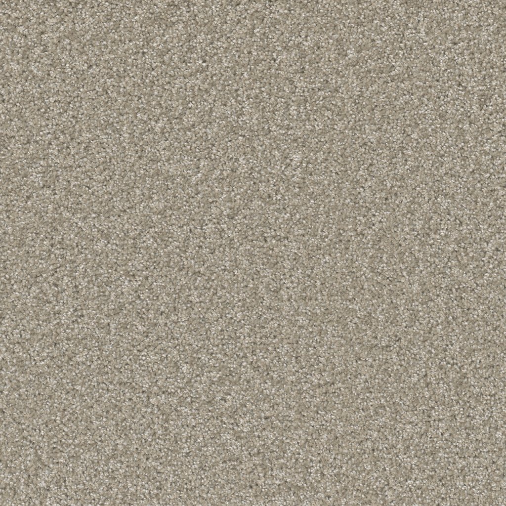 Dreamweaver BROADCAST PLUS - Clam Shell 182