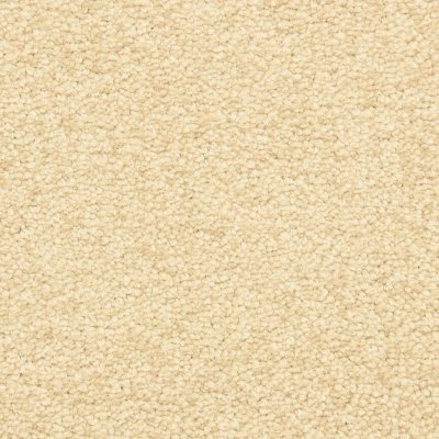 Masland Montrose - Brazil Nut - 12'