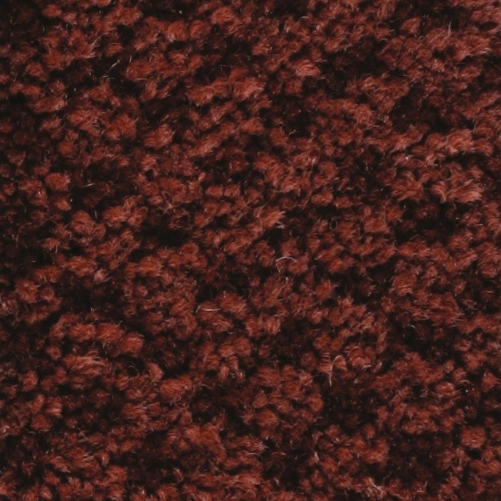 Masland Seurat - Carmine