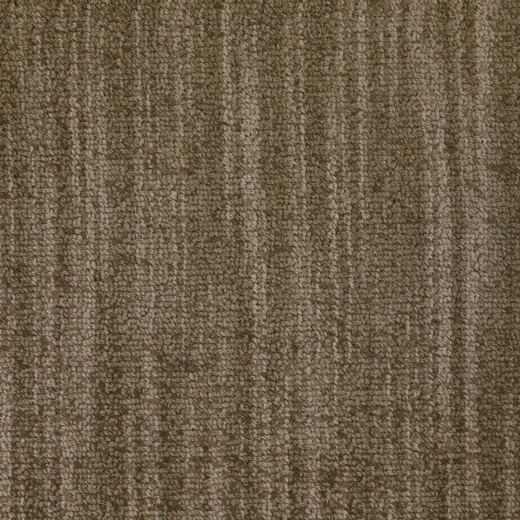 Masland Revival - Allude