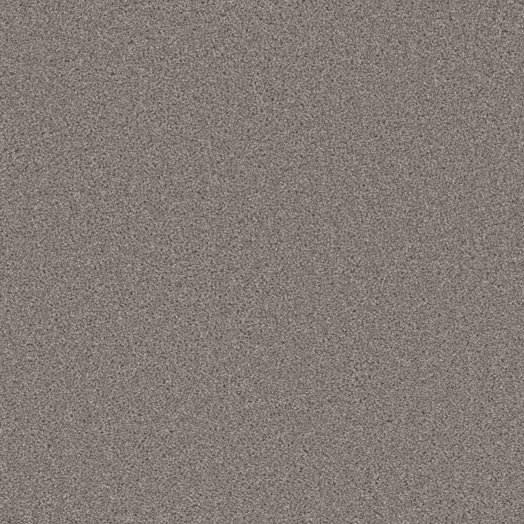 Dreamweaver BROADCAST PLUS - Silver Birch 800