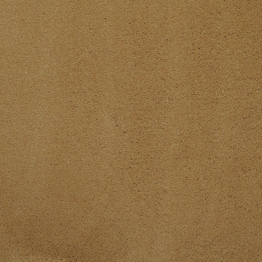 Masland Silk Touch - Maple