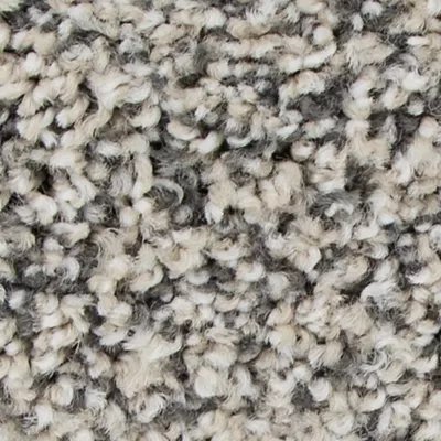 Karastan Magnetic Allure - Champagne