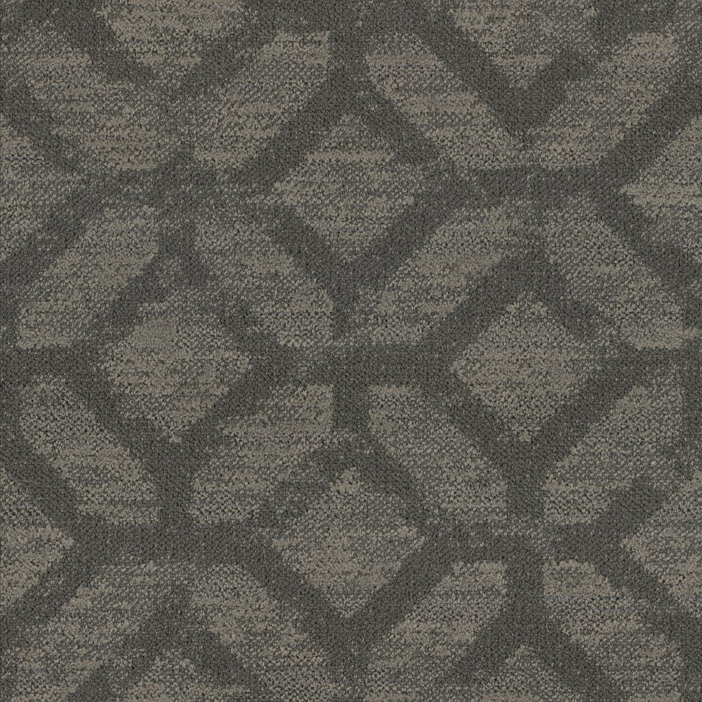 Masland Dune - Foothills