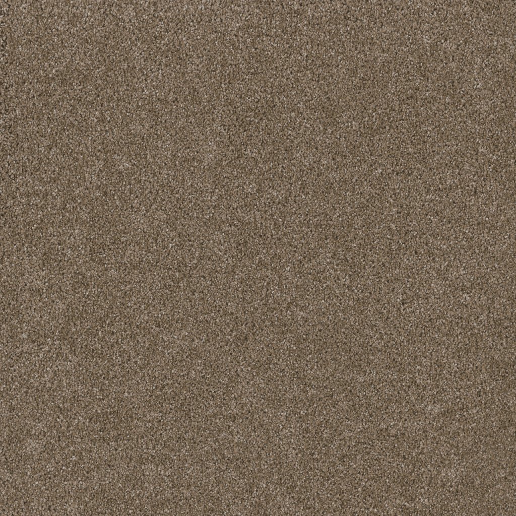 Dreamweaver STUNNING - Acorn 858