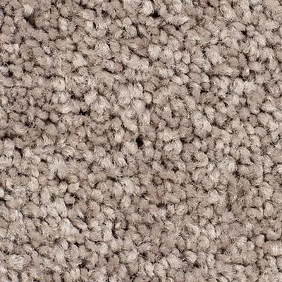 Karastan Lively Elegance - Earth Tone
