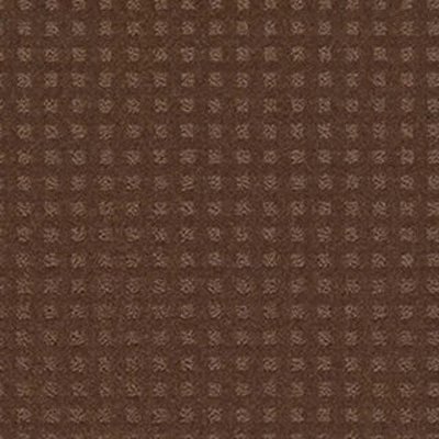 Shaw Floors The Fair - Mocha Chip