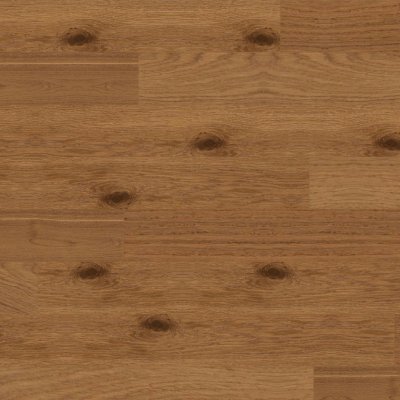 Robbins Cocoa 7.5 in - 7.5"