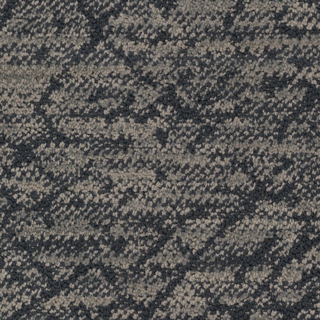 Masland Circuitry - Vista