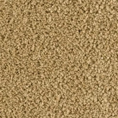 Karastan Soft Finesse - Dune
