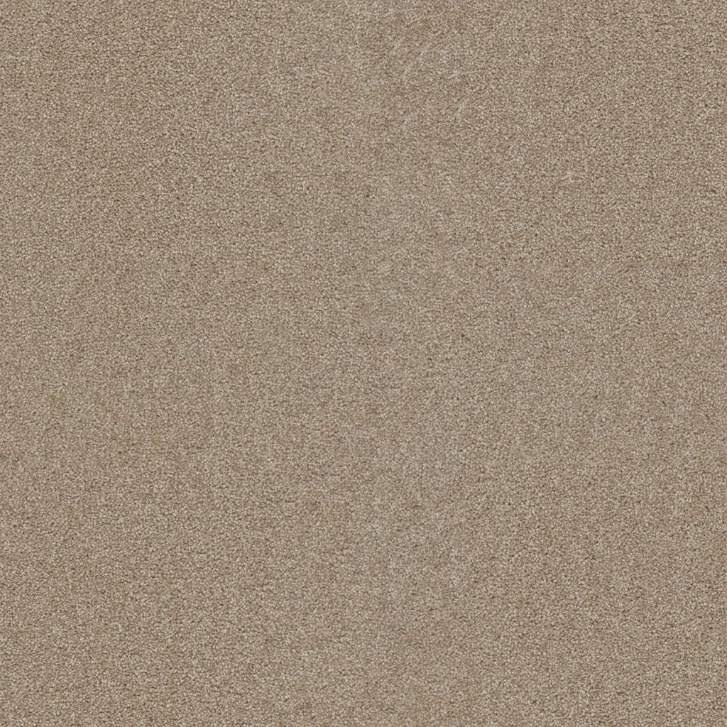Dreamweaver STAR STRUCK - Sawgrass 701