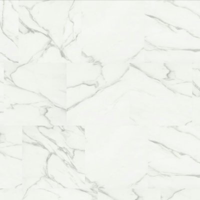 Canopy Calacatta Bianco - 18" x 18in