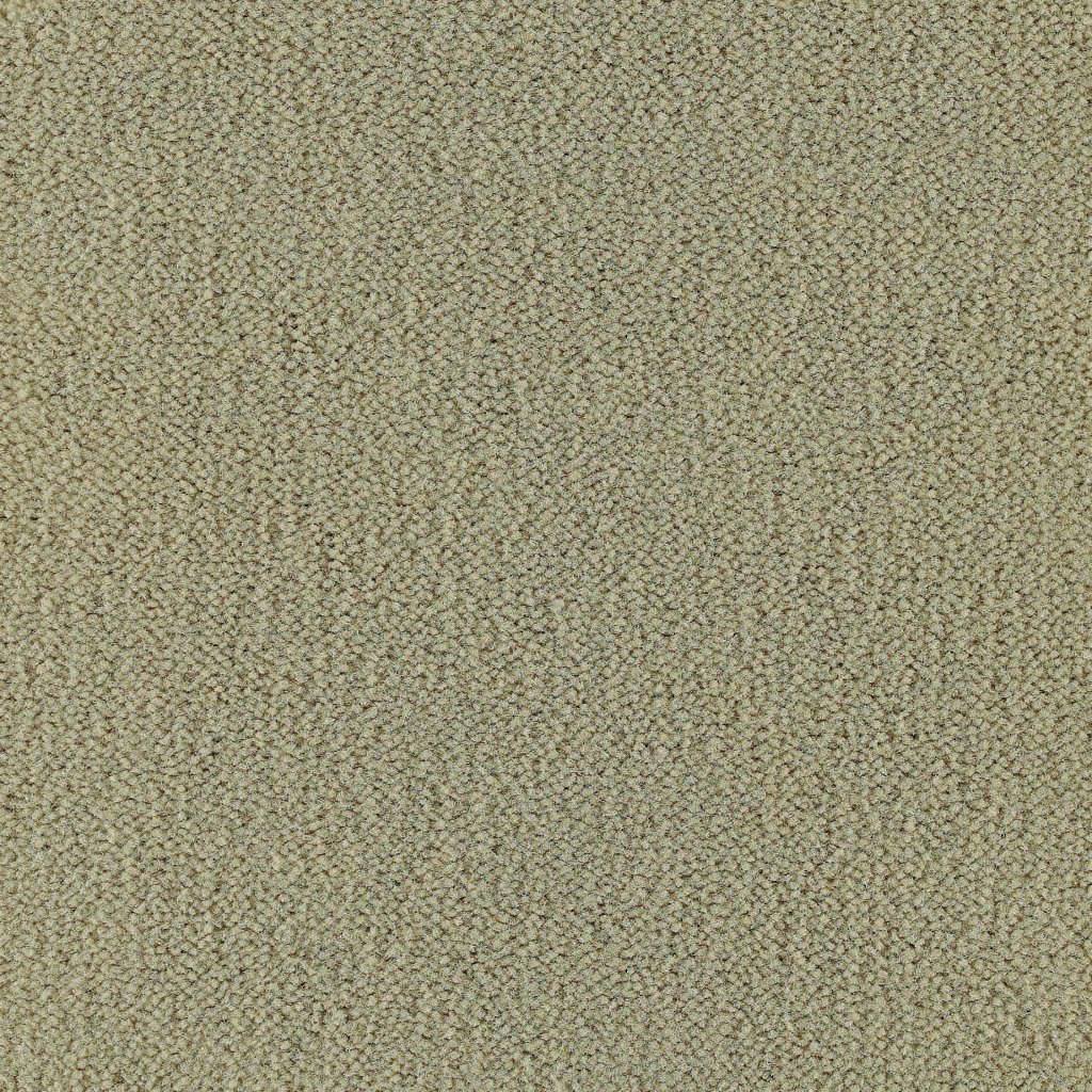 Masland Panache - Limestone