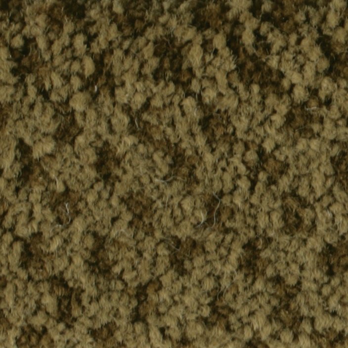 Masland Seurat - Sepia