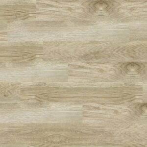 Aesthetic Vision 8" -