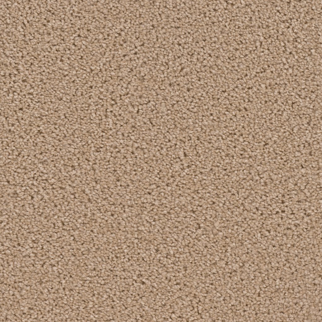 Dreamweaver BROADCAST - Raffia 765