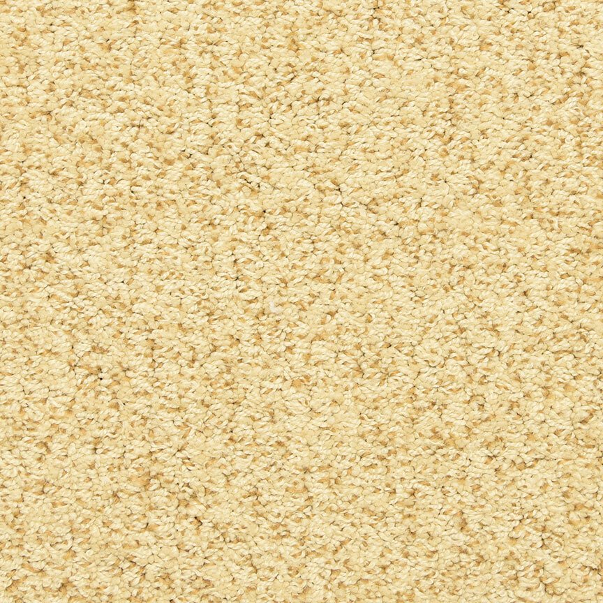 Masland Sea Grass - Star Fish