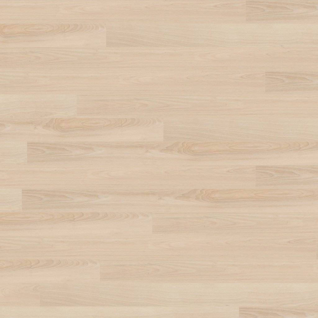Wickham Hardwood Birch, Barewood - Solid 3/4 in. (19mm)