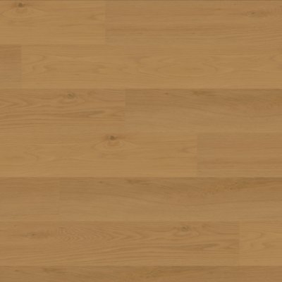 Canopy Daybreak Oak - 9" x 6ft