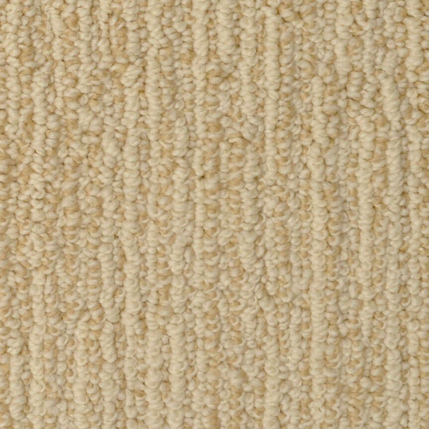 Masland Rivulet - Winter Grass
