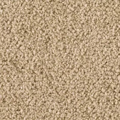 Karastan Soft Finesse - Corkwood