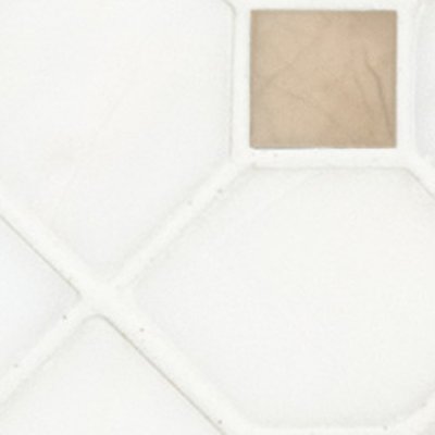 MSI Bianco Crema Dotty Polished - Dolomite