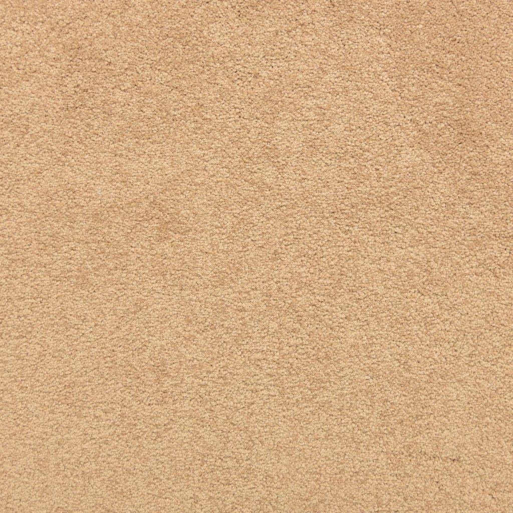 Masland Knockout - Bold Bronze