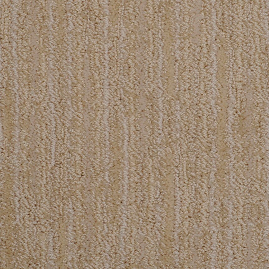 Masland Artistic Vision - Sand Dune