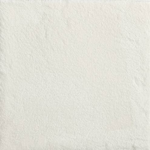 Stanton CHA CHA - SNOW
