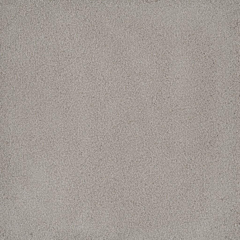 Dreamweaver PALMETTO II - Royalty 2240
