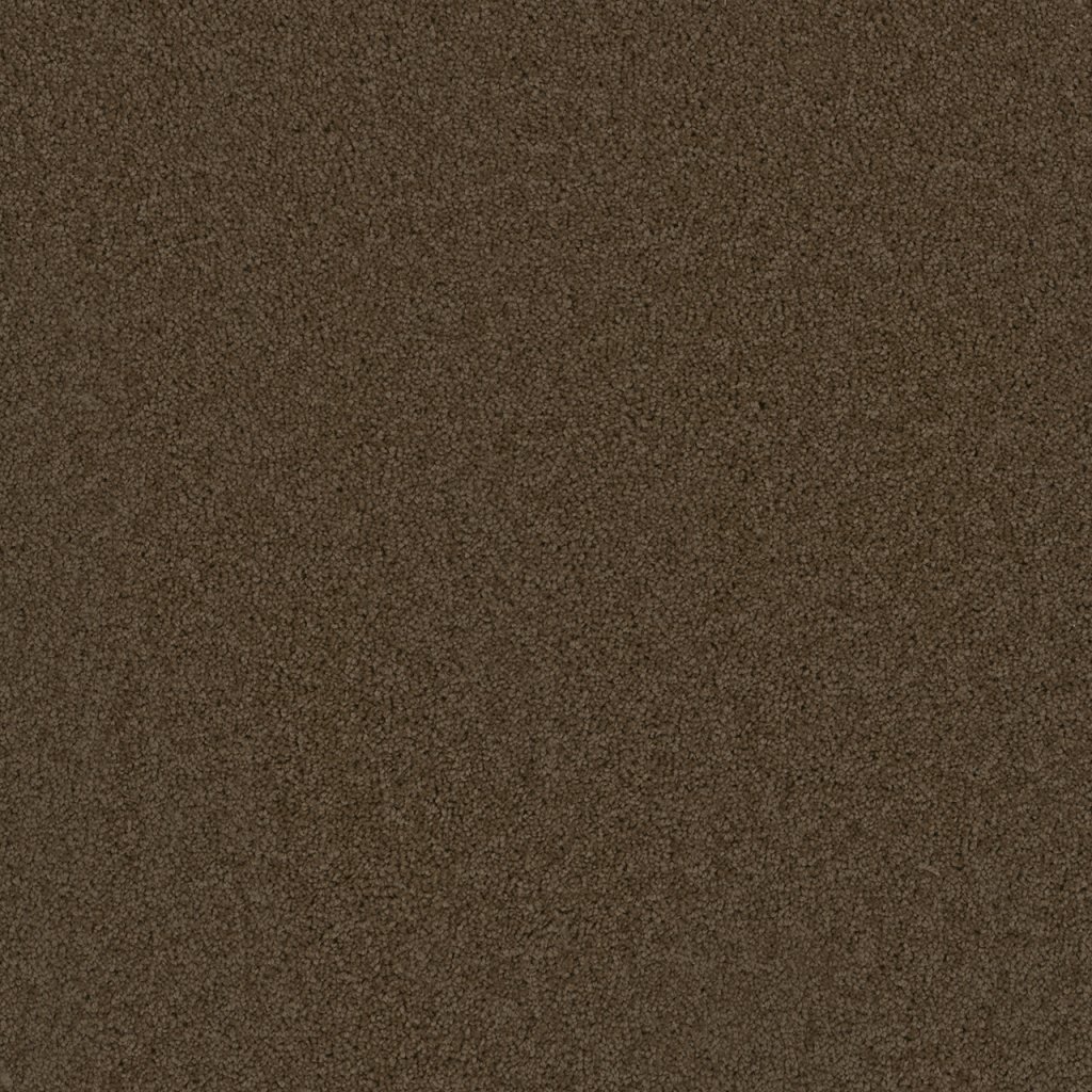 Dreamweaver BROADCAST - Latte 550