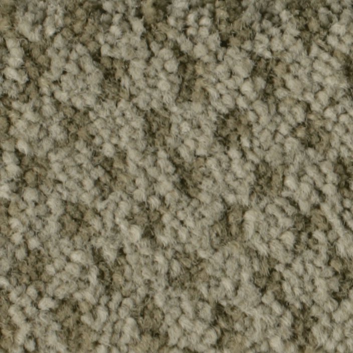 Masland Seurat - Putty