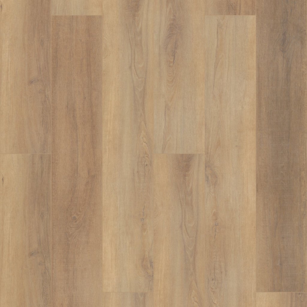 COREtec Pro Plus Enhanced HD 9" VV488 - Canterbury Elm