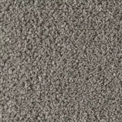 Karastan Soft Finesse - Versatile Gray