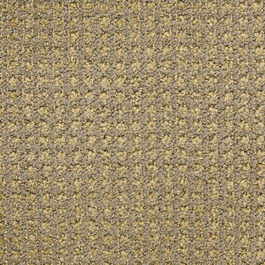Masland Alpha - Ionic