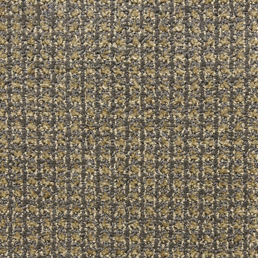Masland Alpha - Pulse