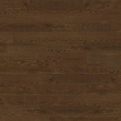 Robbins Tudor Brown 5 in - 5"