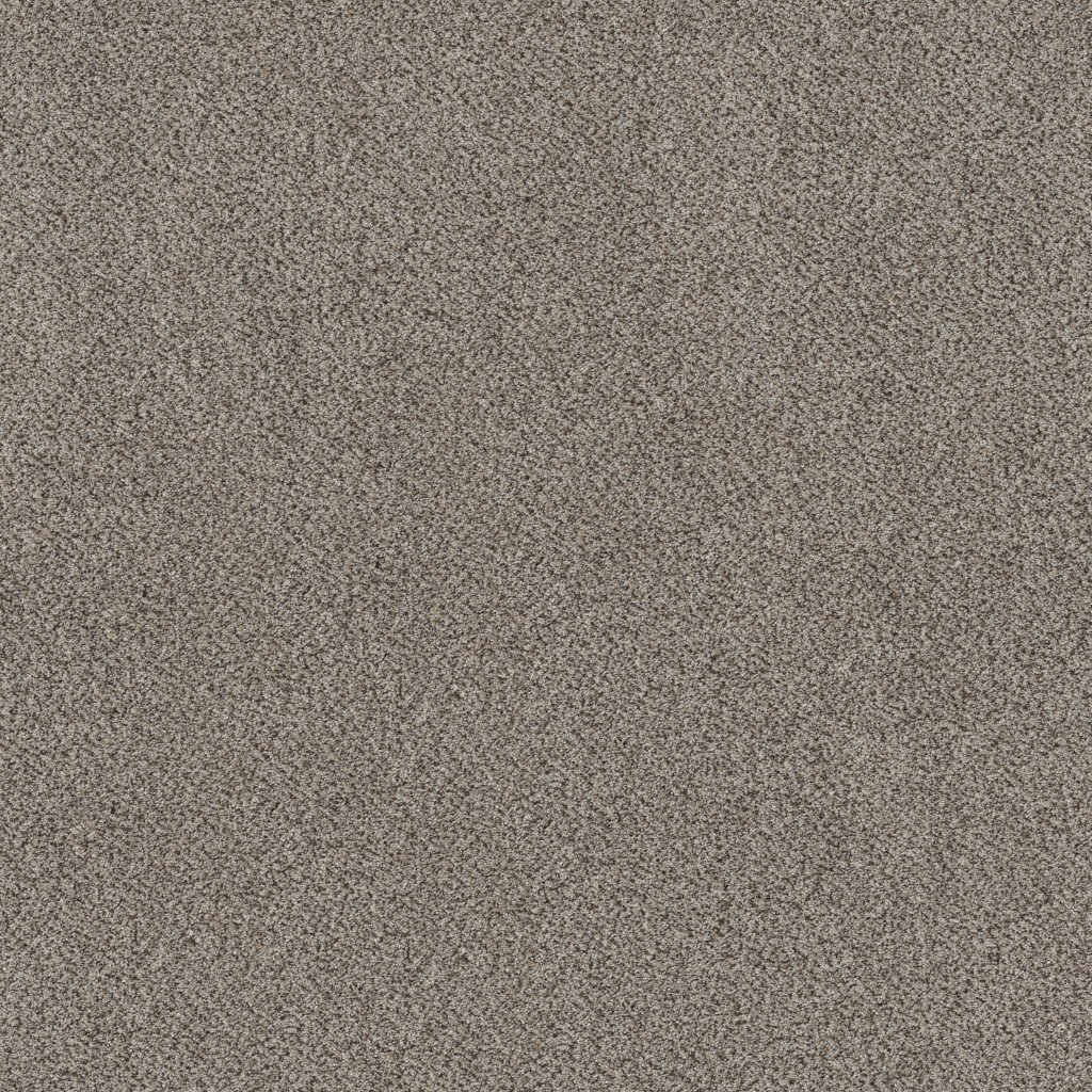 Shaw Floors Game Changing II - Glacier Park