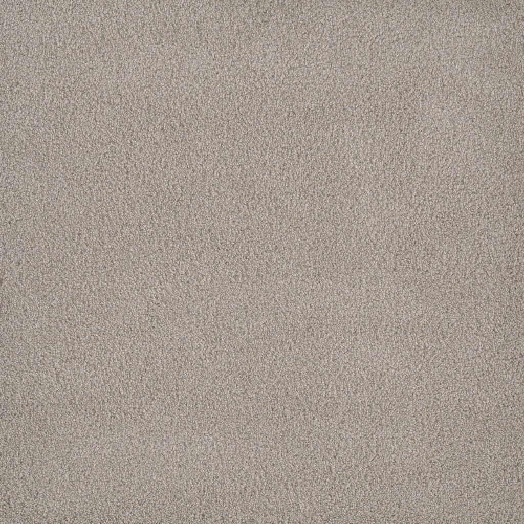 Dreamweaver PALMETTO II - Gardenia 2266