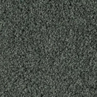 Karastan Soft Finesse - Reef Tint