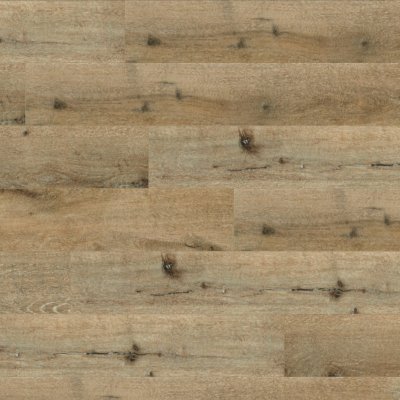 CALI Natural Elm CALI Vinyl Select XL - 9" x 60-1/4"