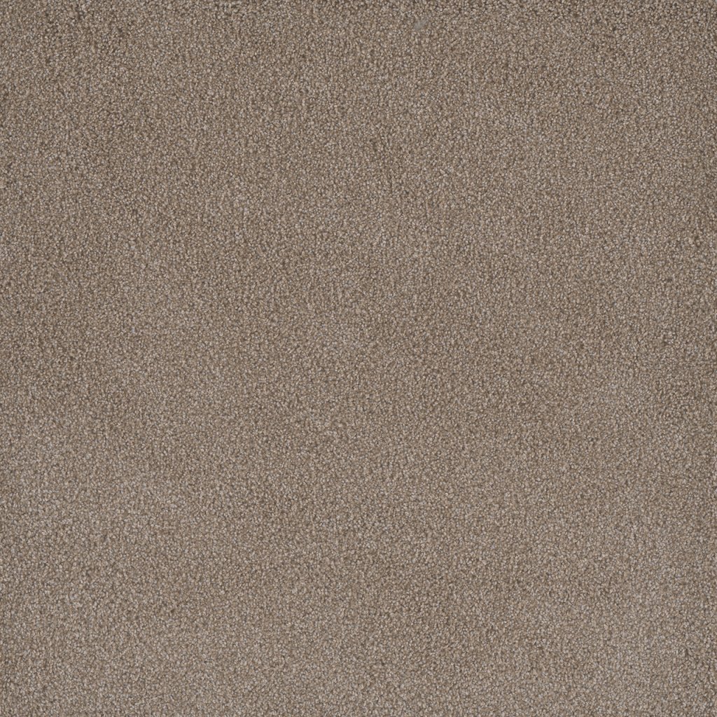 Dreamweaver PALMETTO II - Marigold 2220