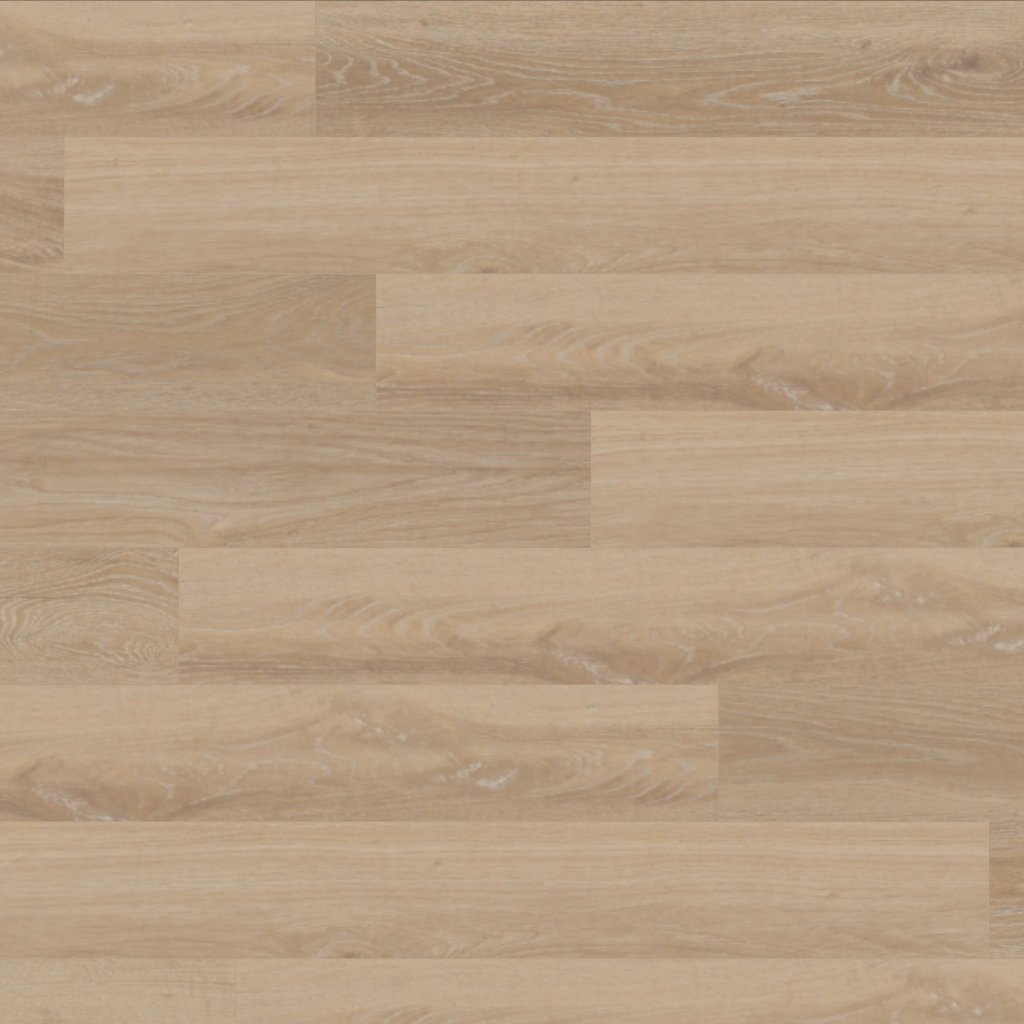 Mannington Everest - Glacier