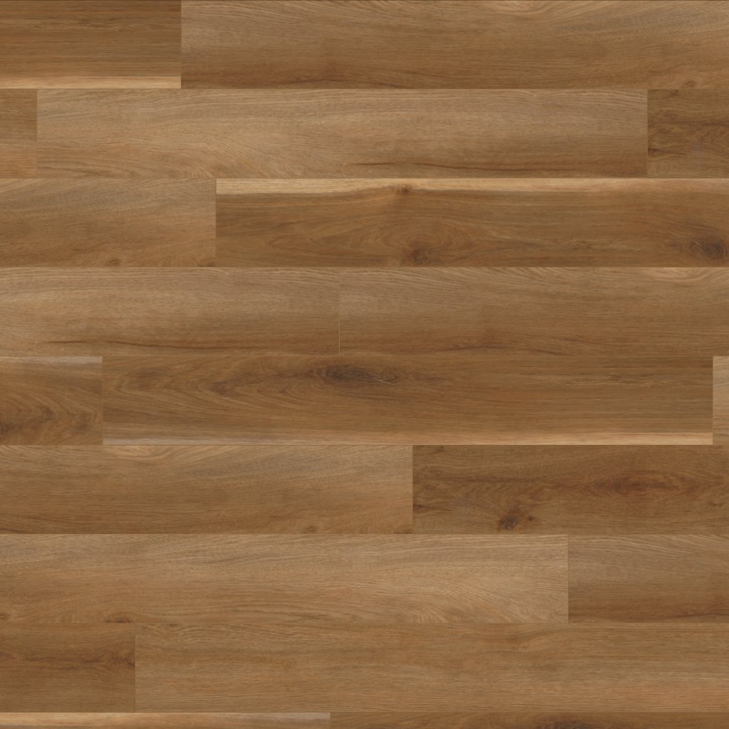 Canopy Sapwood Oak