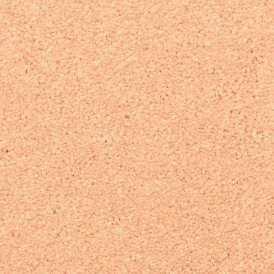Masland Montrose - Clay Pot - 12'