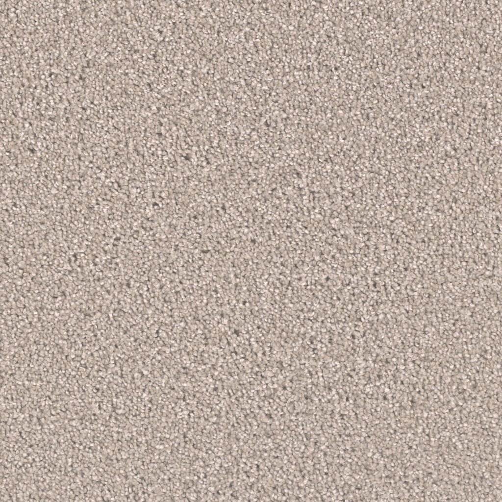 Dreamweaver EXCEPTIONAL II - Clam Shell 182