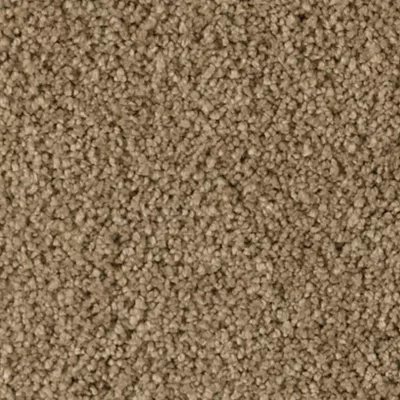 Karastan Soft Finesse - Autumn Brown