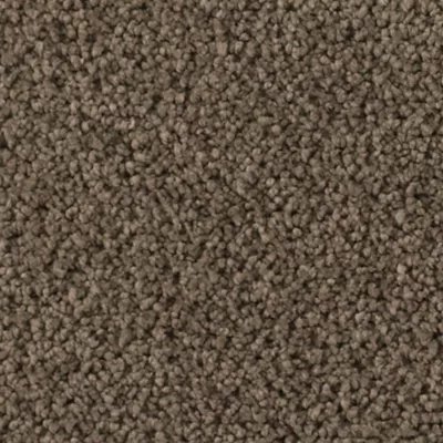 Karastan Soft Finesse - Beaten Trail