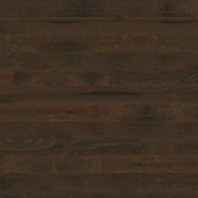 Hartco Brown Bear 5 in - 5"